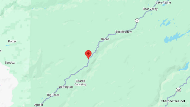 Traffic Update….Vehicle vs Bear Collision Near Hwy 4 & Beatrice Dr