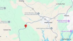 Traffic Update….Major Injury Collision Near Hwy 4 & Stallion Road