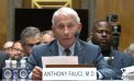 Fauci Invokes 5th Amendment in GOP-led Hearing about COVID-19 Origins