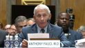 Fauci Invokes 5th Amendment in GOP-led Hearing about COVID-19 Origins