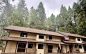 Food Truck & BBQ Vendors Wanted! 🔥🌲