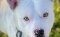 Weeman Will Make Your Heart Wobble, Invite You Into Your Family