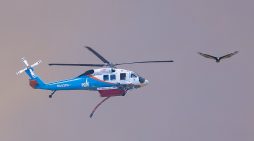 Gann Fire Morning Update, 10,373 Acres, 26% Contained, 2,715 Personnel