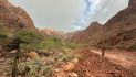 Over 20 People May Be Missing After Grand Canyon Flash Floods