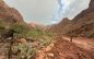Over 20 People May Be Missing After Grand Canyon Flash Floods