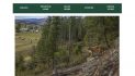 Sheriff’s Office Releases Predator Preparedness Handbook for Dealing with Mountain Lions, Bears, Coyotes & More.