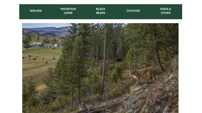 Sheriff’s Office Releases Predator Preparedness Handbook for Dealing with Mountain Lions, Bears, Coyotes & More.