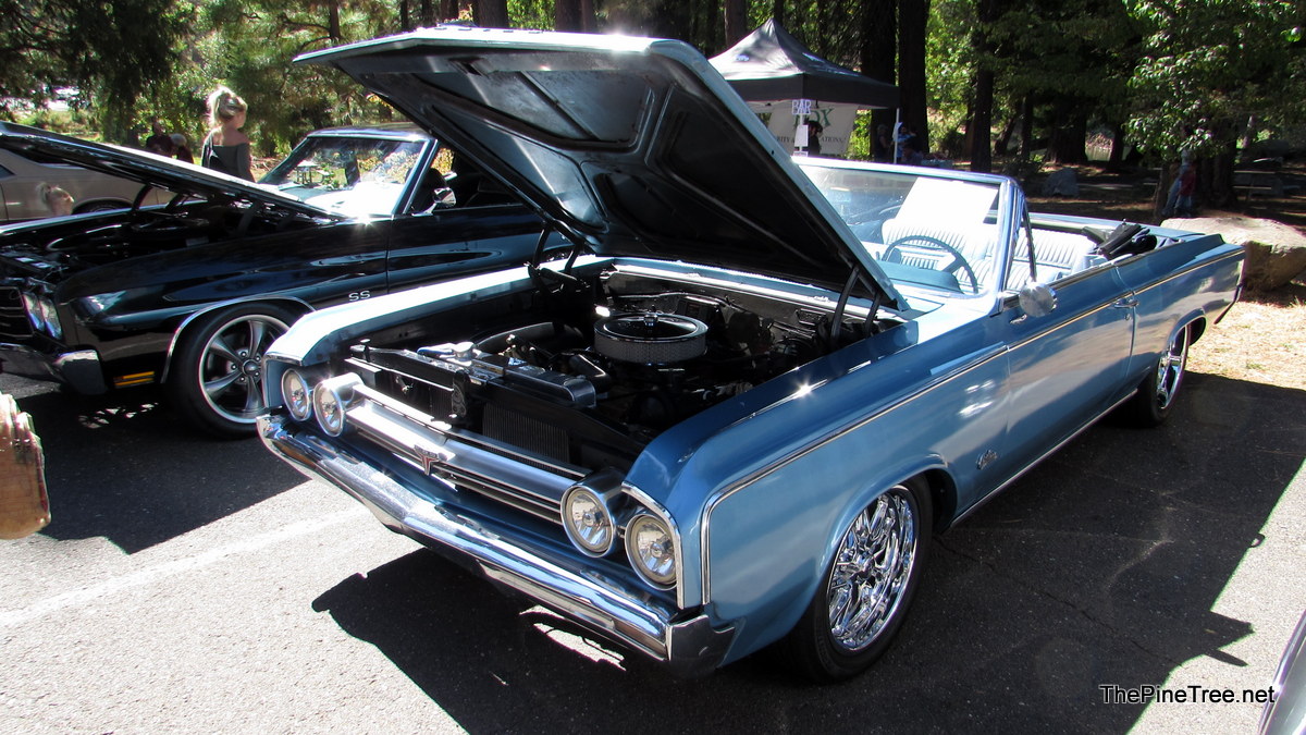 ArnoldCarShow26 (109)