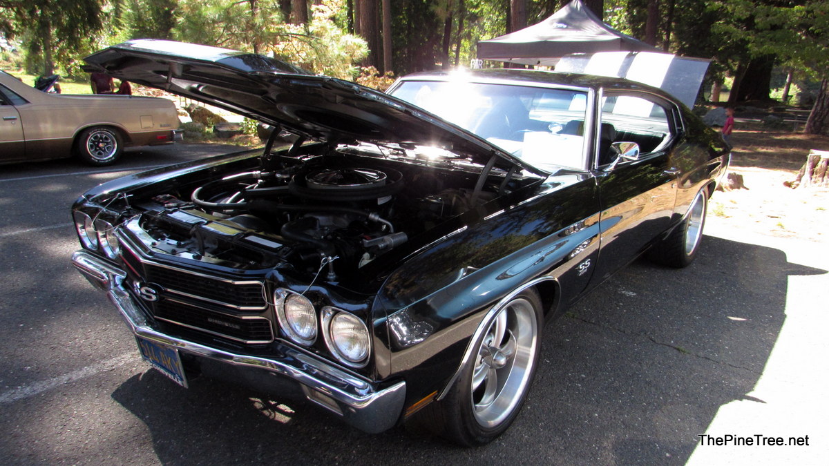 ArnoldCarShow26 (111)