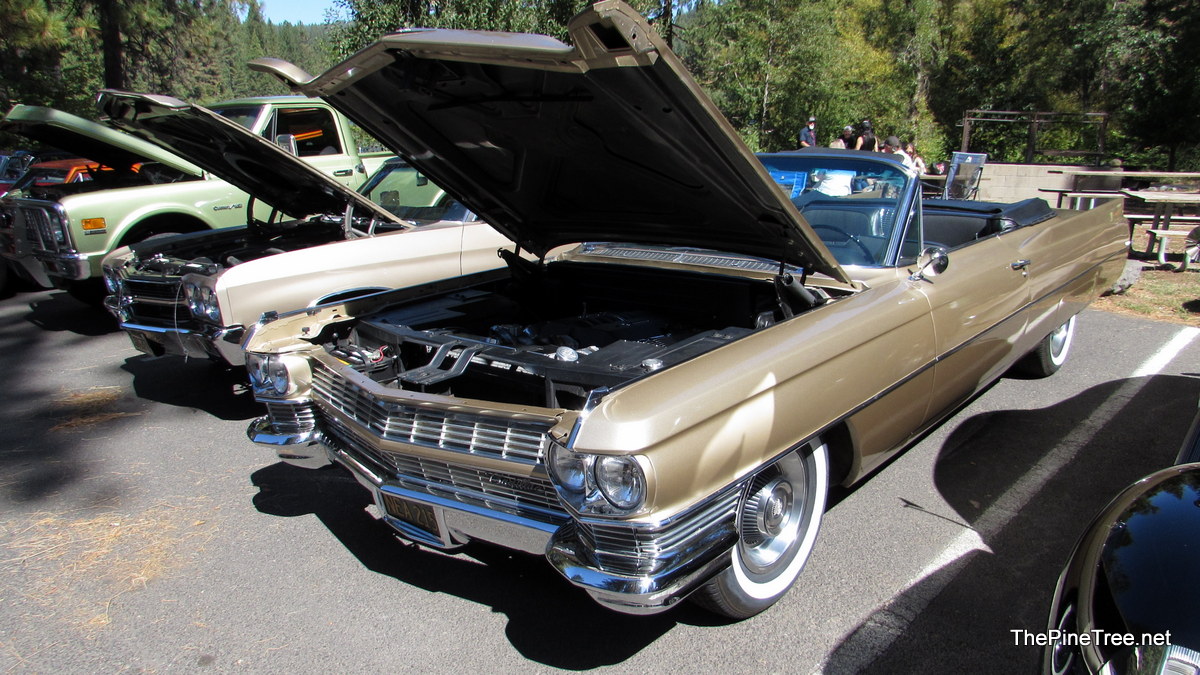 ArnoldCarShow26 (43)