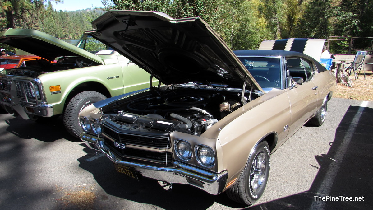 ArnoldCarShow26 (45)