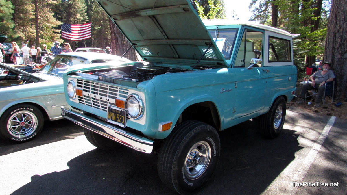 ArnoldCarShow26 (91)