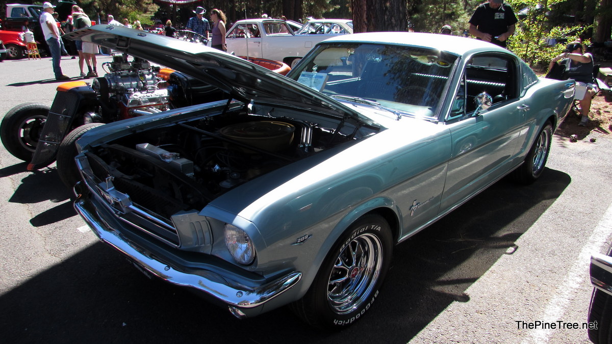 ArnoldCarShow26 (93)