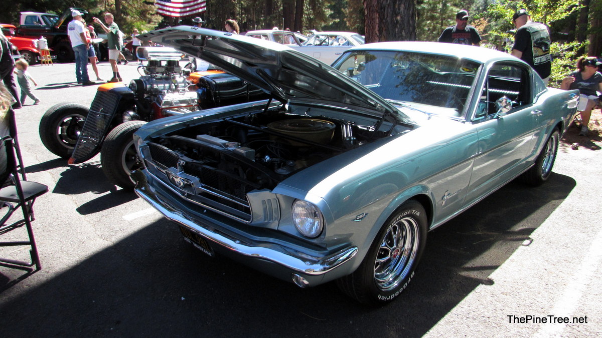 ArnoldCarShow26 (99)
