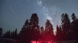 Big Trees State Park – Night Skies with Doc Nancy Big Trees State Park