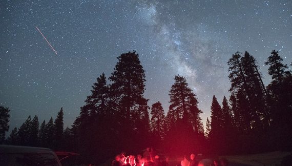 Big Trees State Park – Night Skies with Doc Nancy Big Trees State Park