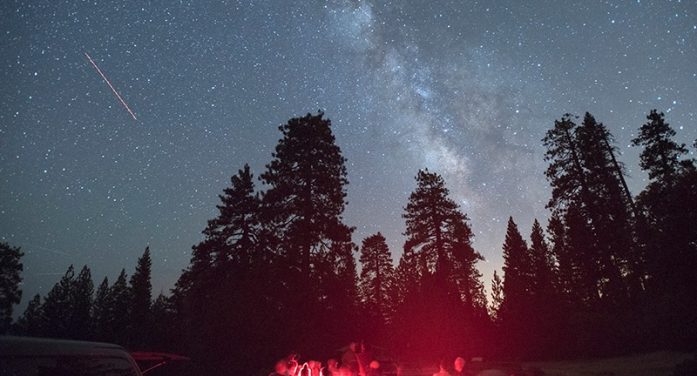 Big Trees State Park – Night Skies with Doc Nancy Big Trees State Park