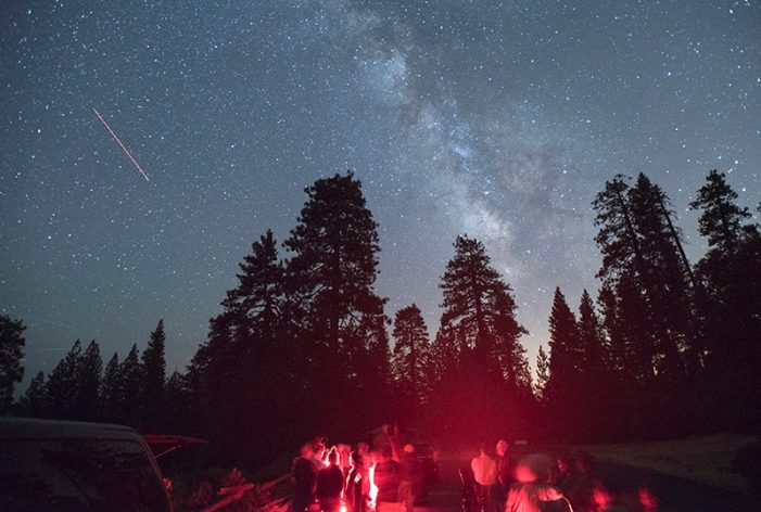 Big Trees State Park – Night Skies with Doc Nancy Big Trees State Park