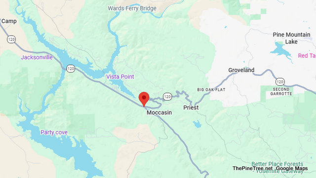 Traffic Update….Firewood in Roadway Disables Multiple Vehicles Near Sr120 / Sr49