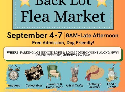 Back Lot Flea Market Lore & Loom Consignment
