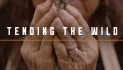 Movie Night @ Douglas Flat School House Movie – Tending The Wild