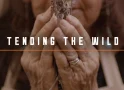 Movie Night @ Douglas Flat School House Movie – Tending The Wild