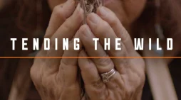 Movie Night @ Douglas Flat School House Movie – Tending The Wild