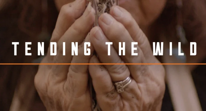 Movie Night @ Douglas Flat School House Movie – Tending The Wild