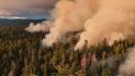 California State Parks and CAL FIRE Plan Prescribed Burns at Calaveras Big Trees State Park