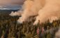 California State Parks and CAL FIRE Plan Prescribed Burns at Calaveras Big Trees State Park