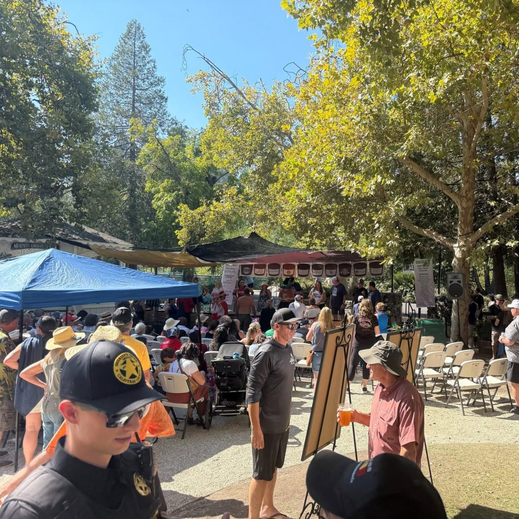 Pine Tree Injection The Pine Tree – The Celebrated News of Calaveras County and Beyond