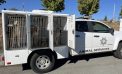 Calaveras County Animal Services Impounds 17 Dogs