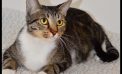 Single Mom Chiara Ready for Her Next Relationship!  Adopt Her Today!