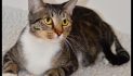 Single Mom Chiara Ready for Her Next Relationship!  Adopt Her Today!