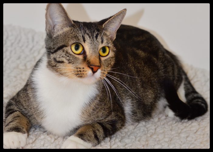 Single Mom Chiara Ready for Her Next Relationship!  Adopt Her Today!