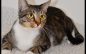 Single Mom Chiara Ready for Her Next Relationship!  Adopt Her Today!