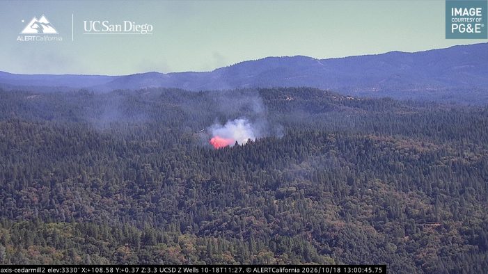 Fire Update….Fire Fighters Knock Down the Bear Fire