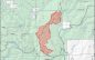 China Ridge Understory Burn Imminent on Groveland Ranger District