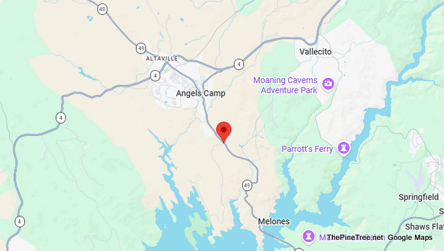 Traffic & Bovine Update….Black Cow with Orange Ear Bling on the Loose Near Sr49 / Whittle Rd