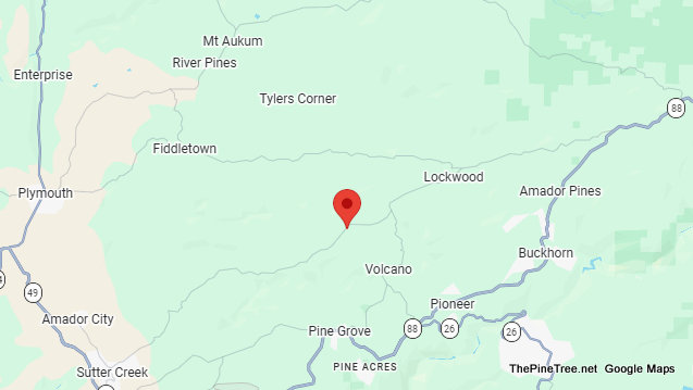 Traffic & Bovine Update….Black Cow in & out of Lanes Near Charleston Rd / Shake Ridge Rd