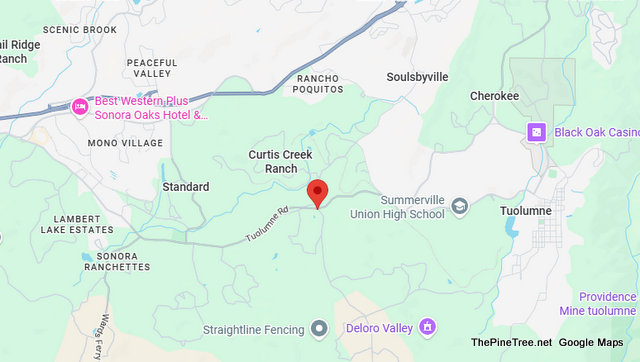 Traffic Update….Loose Pig Near Woodham Carne Rd / Tuolumne Rd