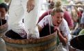 Calaveras Grape Stomp and the Gold Rush Street Fair