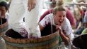 Calaveras Grape Stomp and the Gold Rush Street Fair