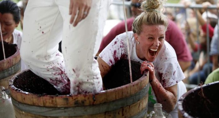 Calaveras Grape Stomp and the Gold Rush Street Fair
