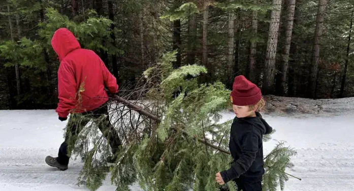 Christmas Tree Permits Available Beginning Oct. 10th