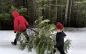 Christmas Tree Permits Available Beginning Oct. 10th