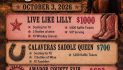 Live Like Lilly Fundraising Dinner