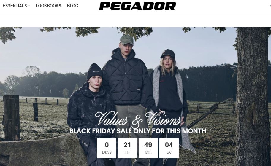 Pegador hoodie