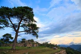 Discover the World of Monkey Mart Trading