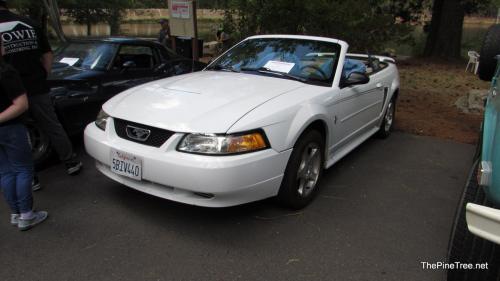 ArnClasCarShow25 (78)